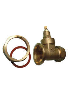 Picture of VPG pump valve - gate type 22mm