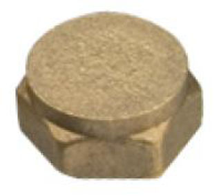 Picture of BF300 brass cap 1"