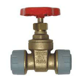 Picture of Polyplumb  15mm  Gate Valve 