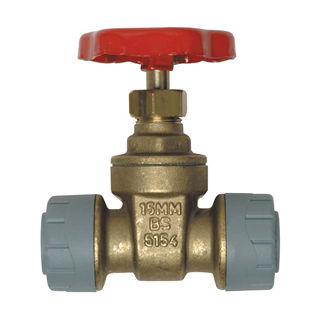Picture of Polyplumb  22mm  Gate Valve 