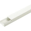 Picture of Elec Trunking 25mm